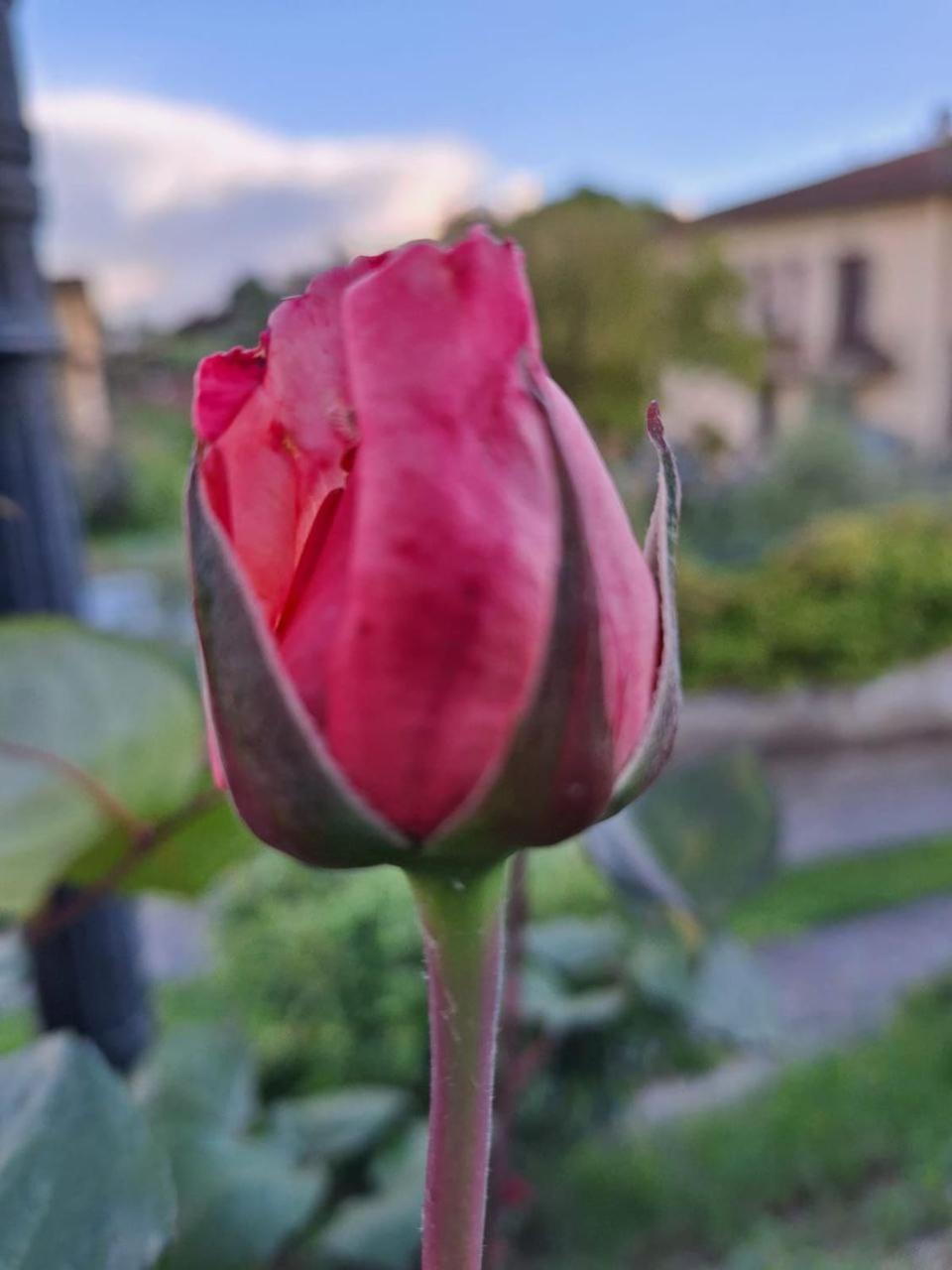 B&B Le Rose Di Paola Santa Maria a Monte Exterior photo